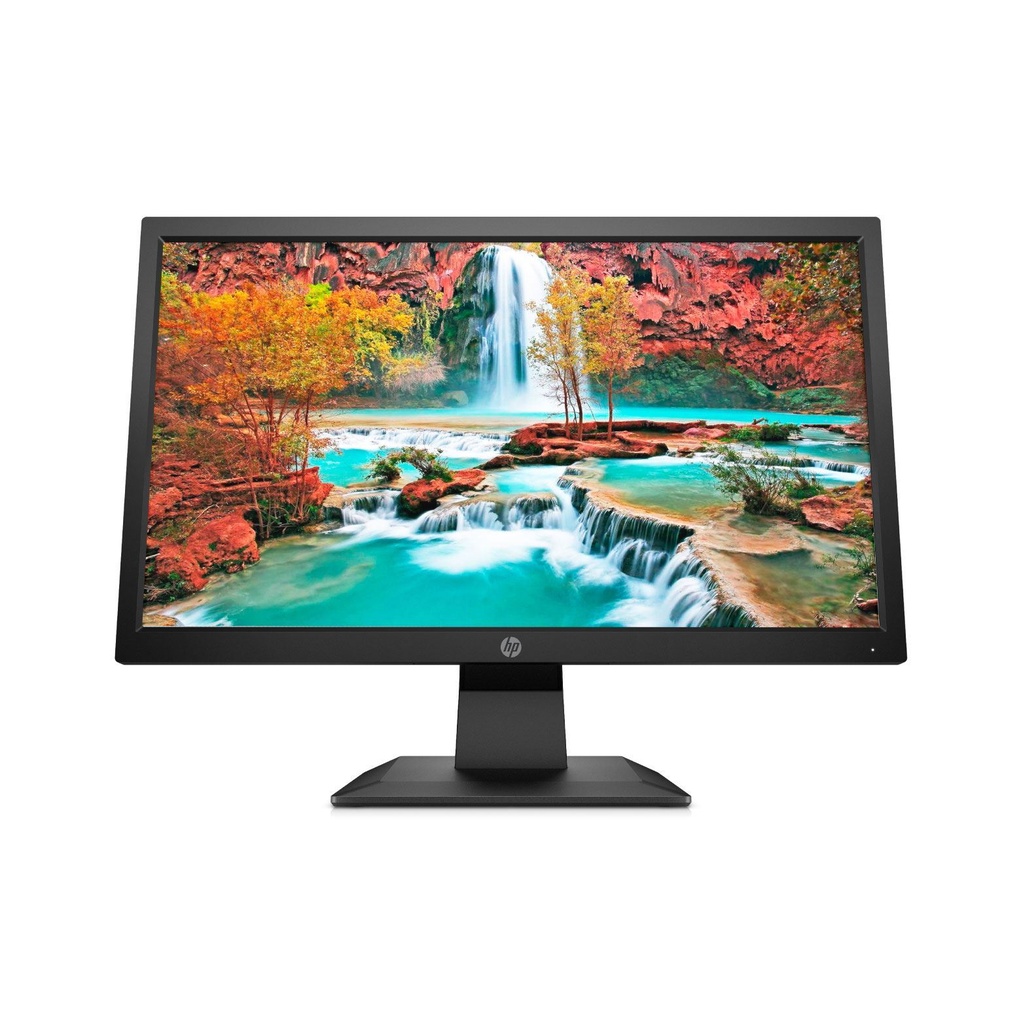 HP P204v 19.5-inch Monitor (5RD66AS)